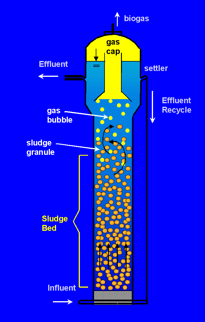 EGSB Component