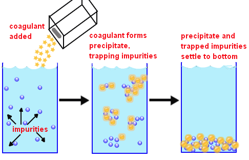 coagulation